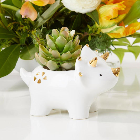 Dinosaur Ceramic Planter