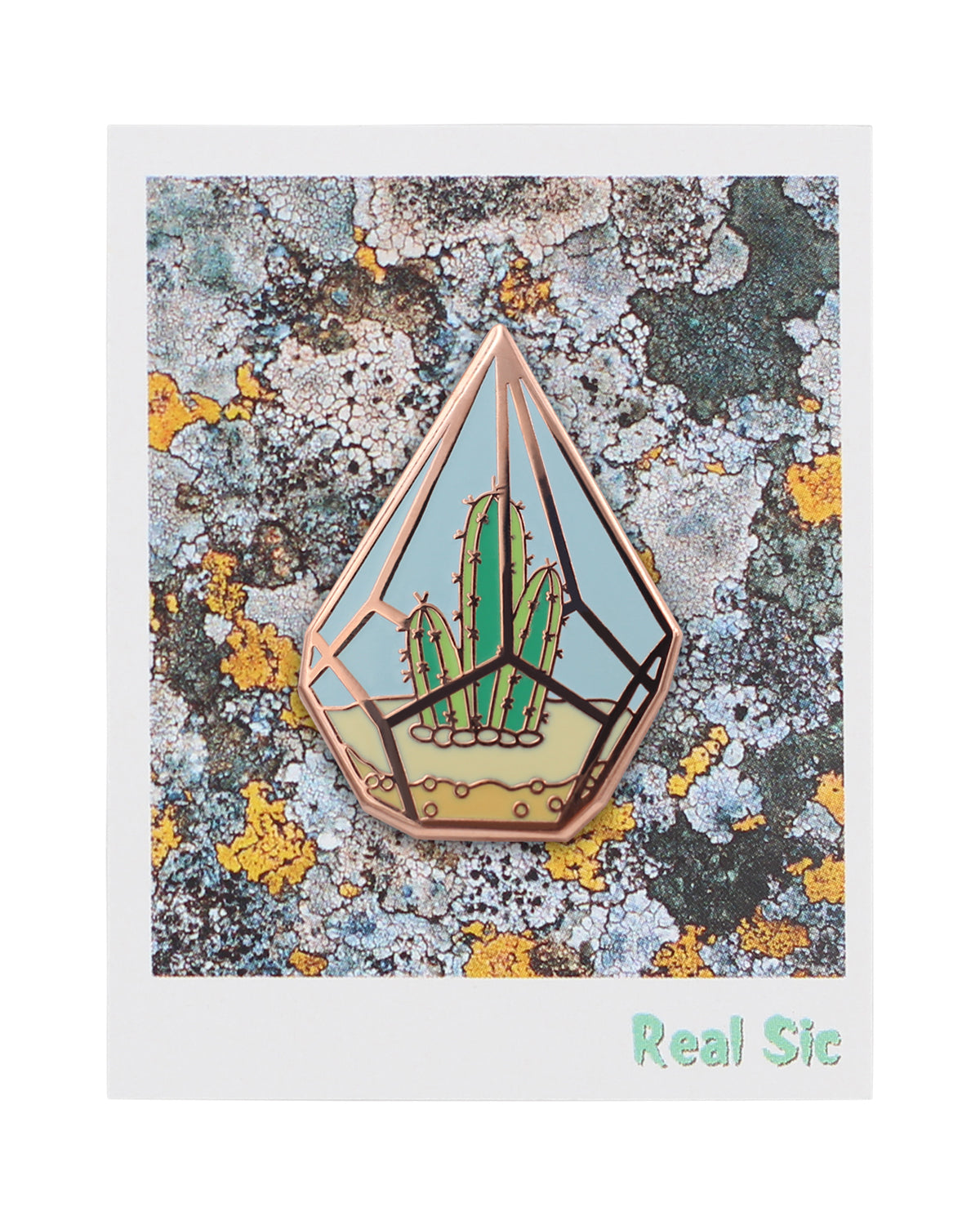 Cute Cactus in Geometric Terrarium Enamel Pin