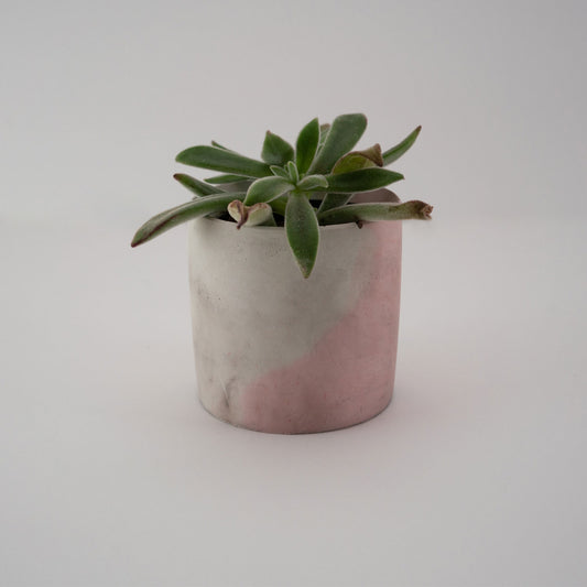 Medium Planter