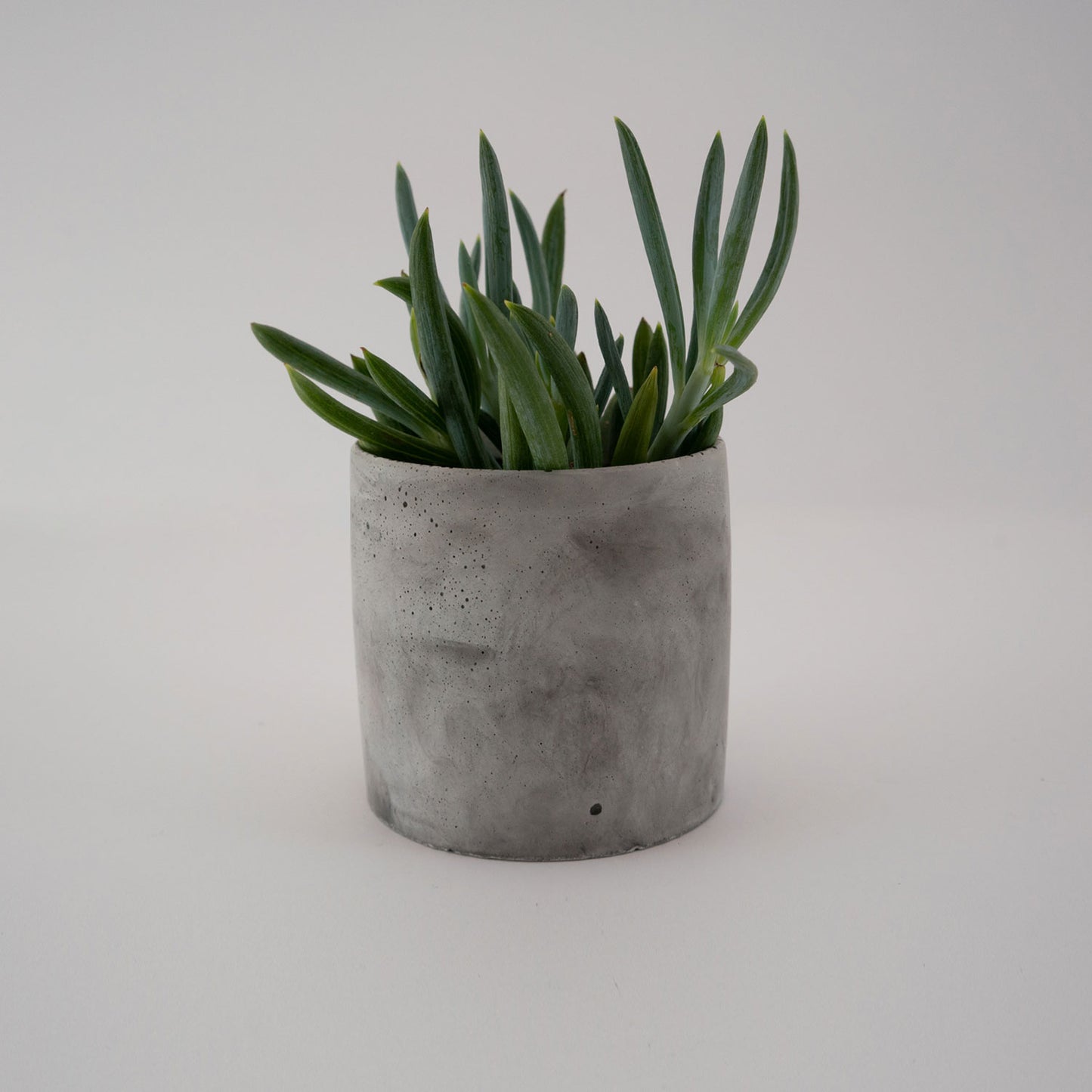 Medium Planter