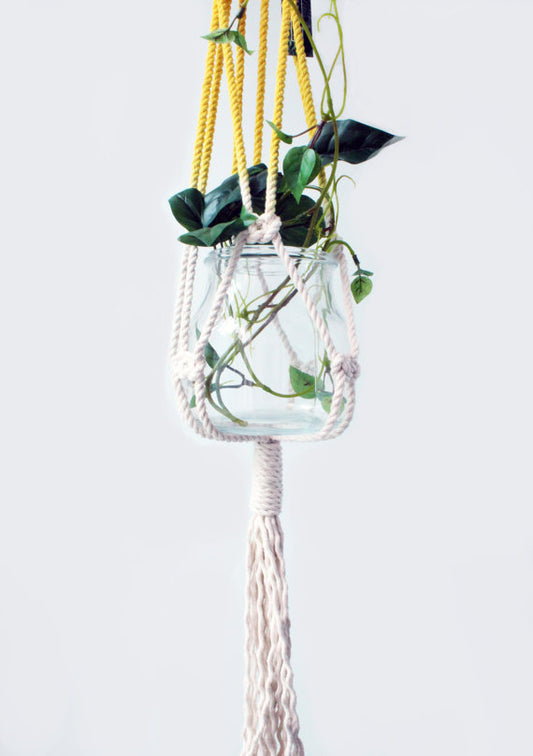 Macrame Plant Hanger, Hand Dyed, Hanging Planter