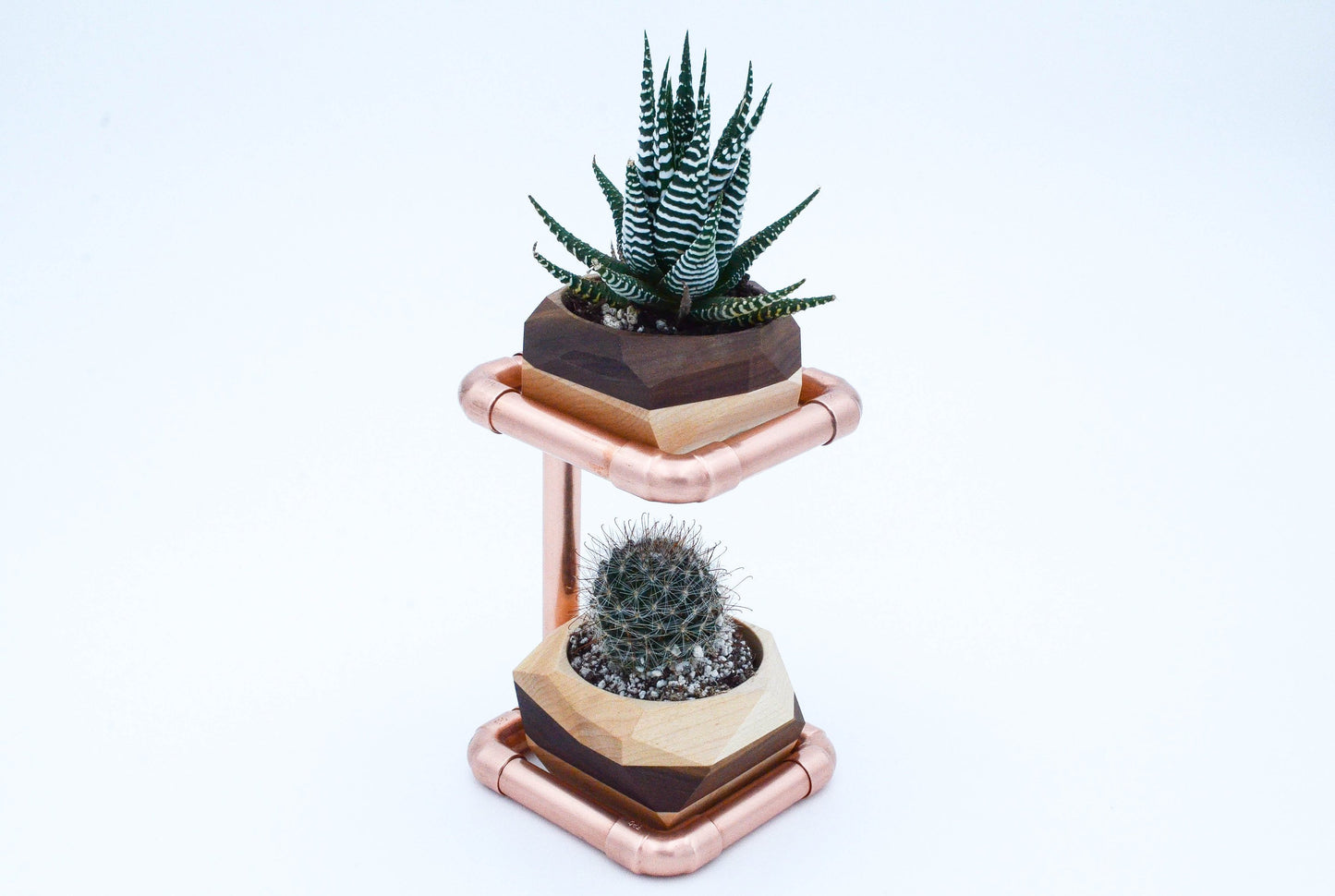 Geometric Double Cactus & Succulent Planter with